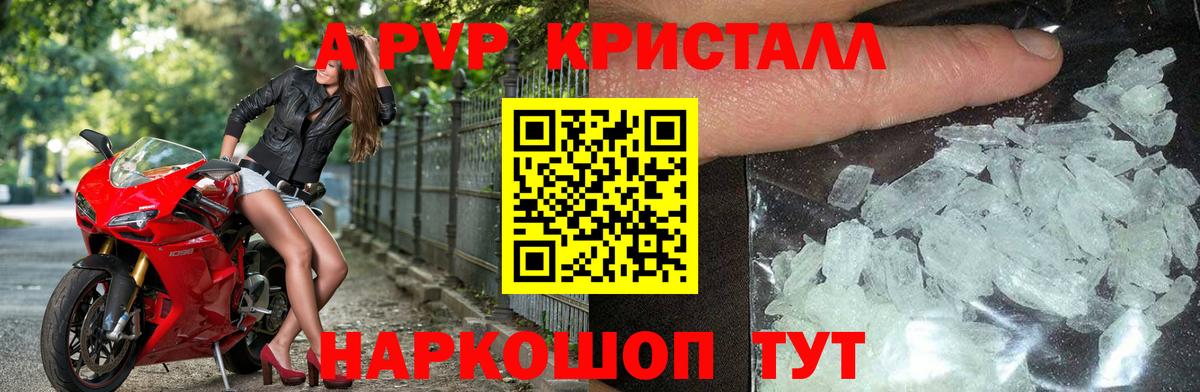 Alpha PVP СК КРИС Владимир